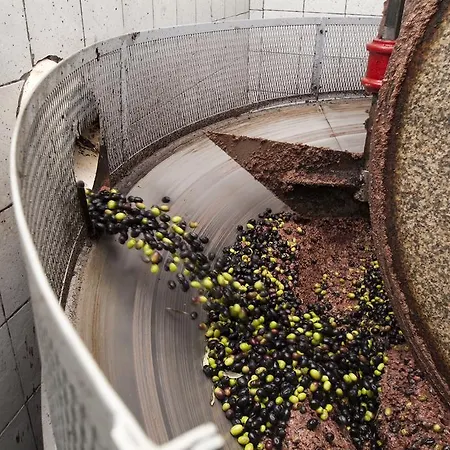Podere Campofossato Pistoia